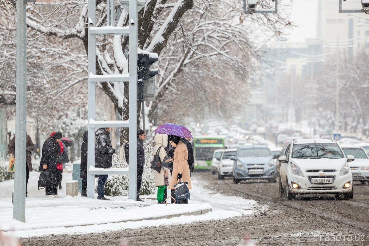 Снег 5 декабря. Зима в Ташкенте. Ташкент зимой. Снег в Ташкенте. Заснеженный Ташкент.