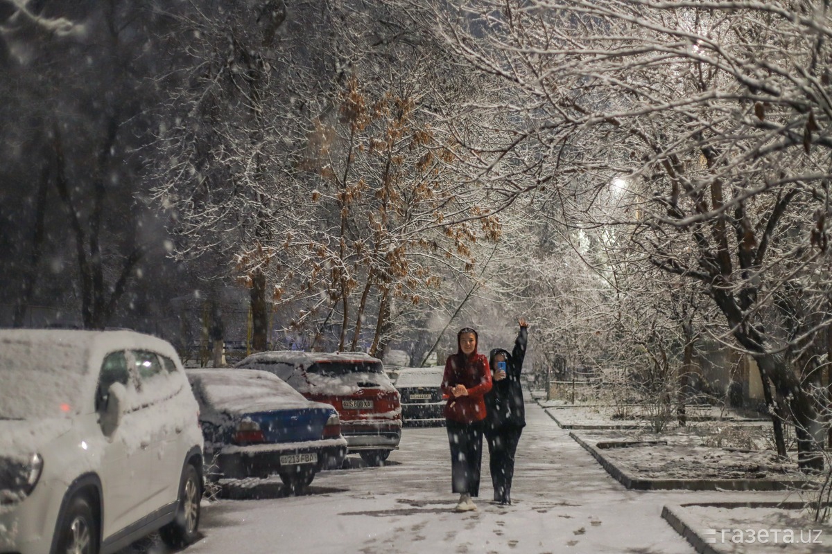 Голые зимой на улице (57 фото)