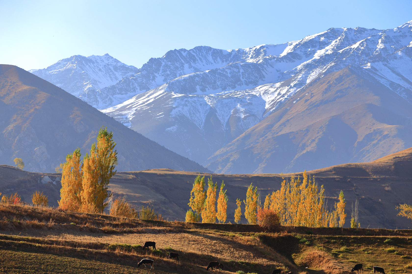 Средняя азия в ноябре. Ташкент горы Чимган. Узбекистан природа. Горы Ташкентской области. Горы средней Азии Узбекистан.
